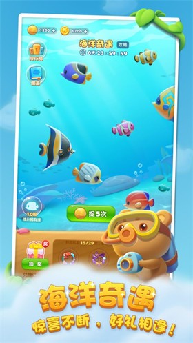 �������������޽����ʯ������2024