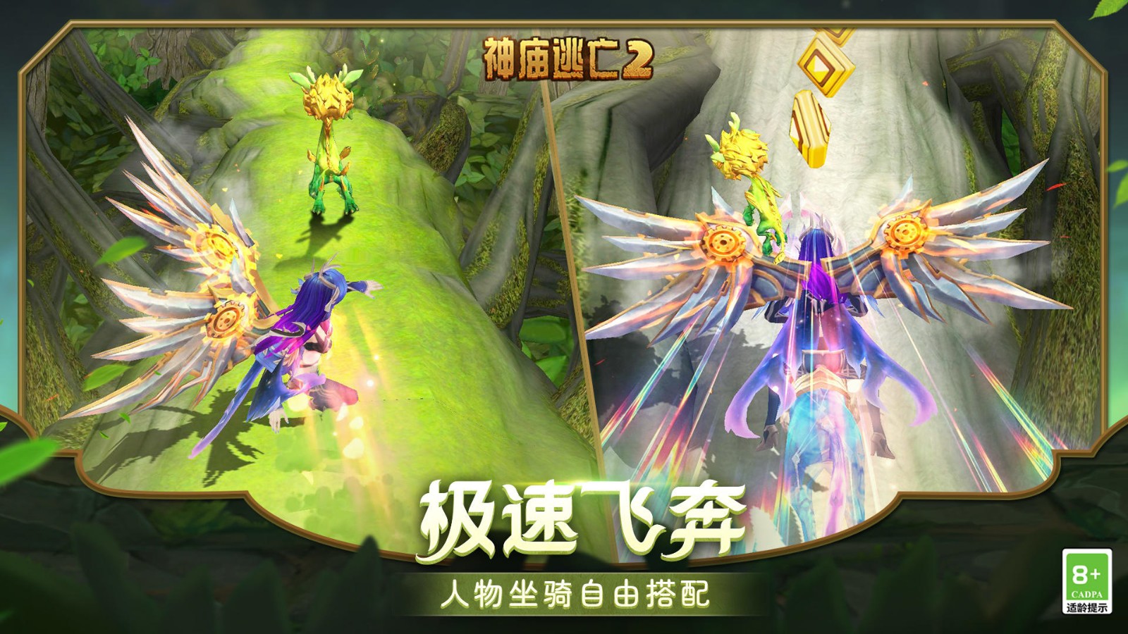 ��������2���ޱ����5.6.2����