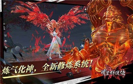 ����Ⱥ�������׹ٷ�����