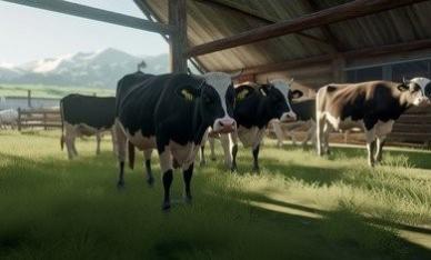 ģ��ũ��23��������ģ��