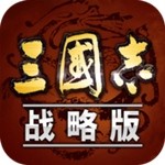 三国志战略版九游
