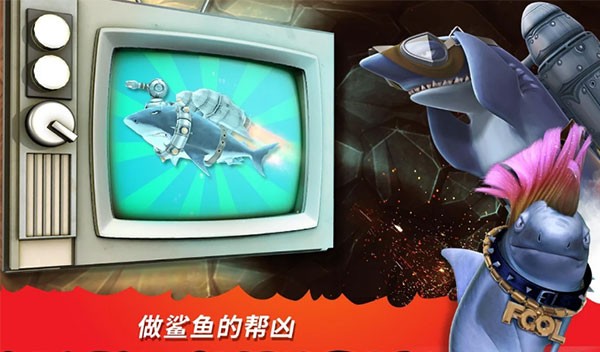 �����������ɫ��������ʯ���������ذ�װ