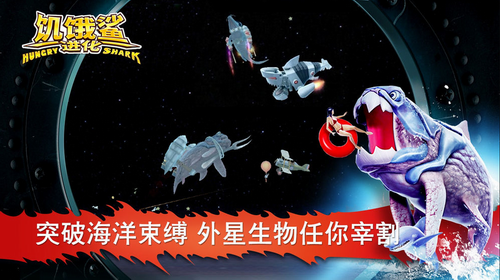 �����������ɫ��������ʯ���������ذ�װ