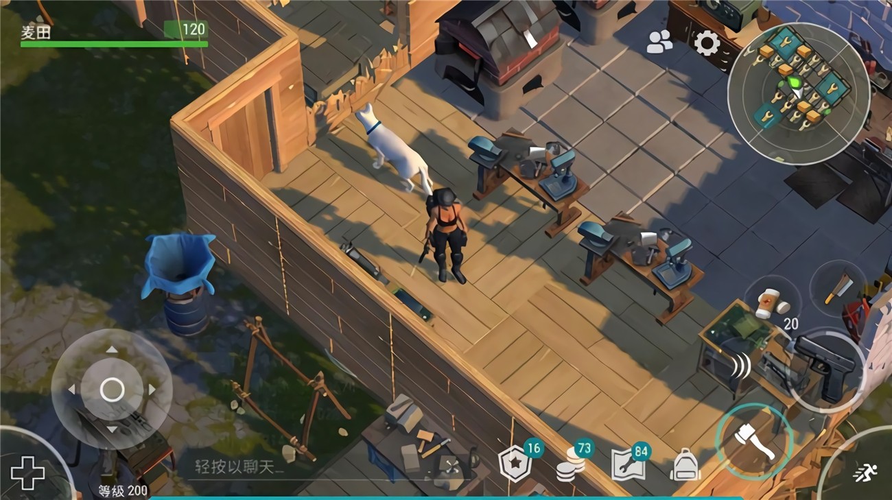 ����ĩ��������ɫ�����޹���2023