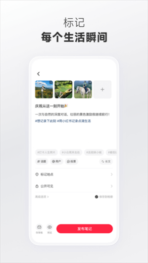 С�����������