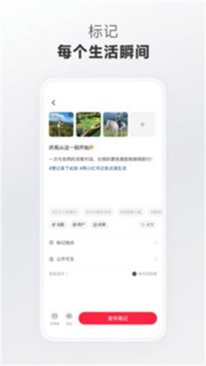 С����app�ɰ�