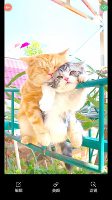 ��������������°�2024���