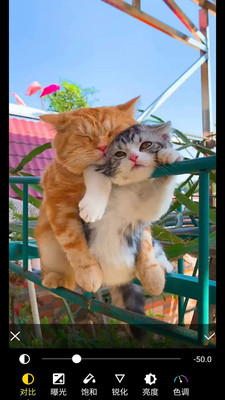 ��������������°�2024���