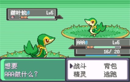 �ڴ�������ڵ���Ӱ5.0����