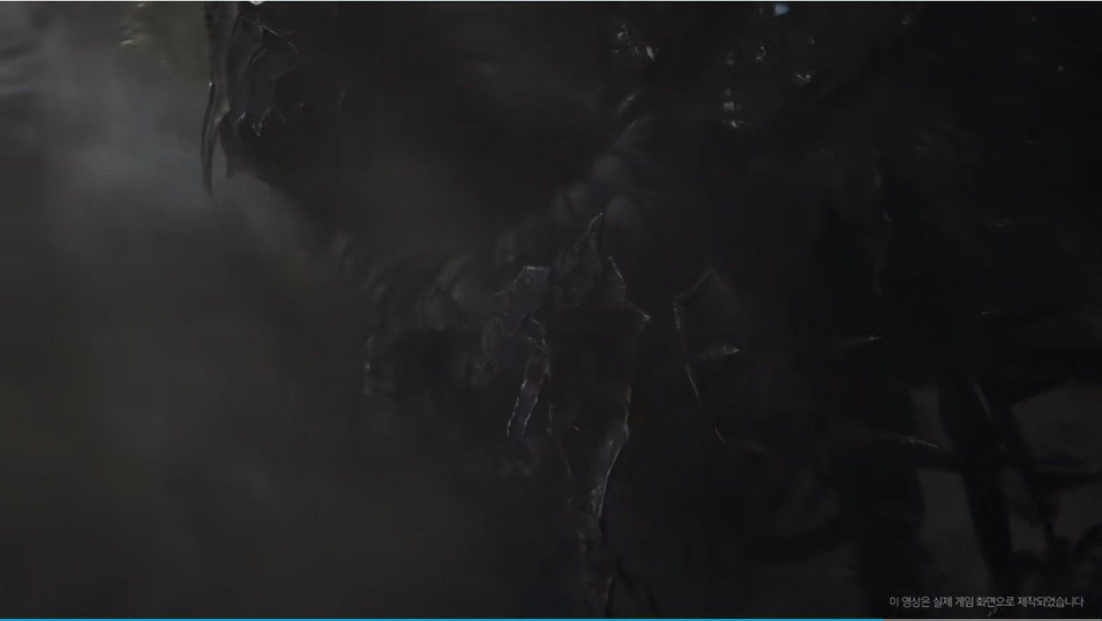 NightCrowsҹѻ����