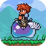 ̩�������ֶ�wiki