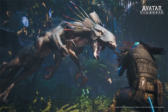 �������ط��˶�����������