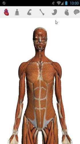 google�����������׿��