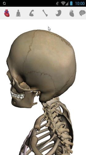 google�����������׿��