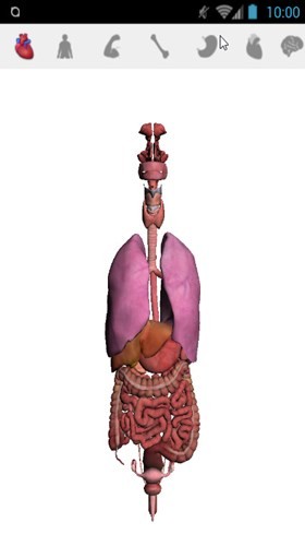 google�����������׿��