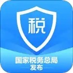 下载个人所得税app