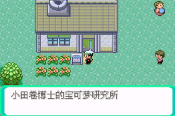 �ڴ����ִ�˵�̱�ʯ����ָ���������