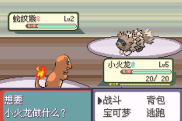 �ڴ����ִ�˵�̱�ʯ����ָ���������