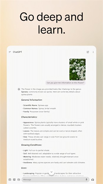 chat gpt 4.0�ٷ���Ѱ�����