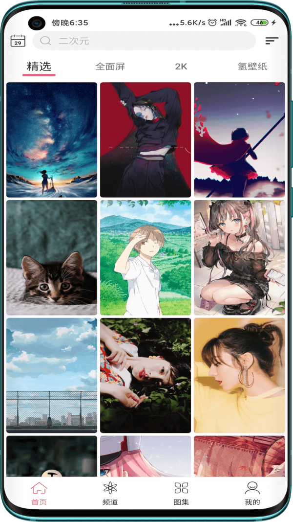 Ԫ�����涯̬��ֽ����