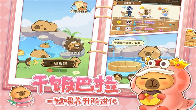 �������ݾ��ΰ�