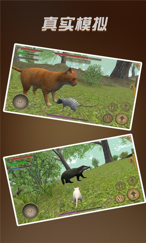 ����ģ�������İ���ɫ��������Դ������