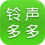 �������2022����