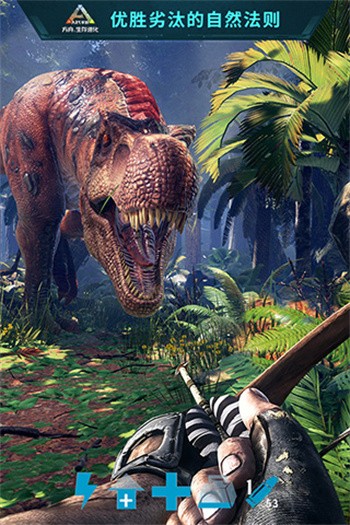 ������������ϵ���ɫ������������������