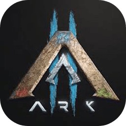 �����������2