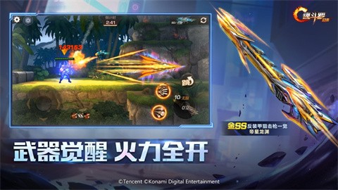 �궷�޹�����ɫ��������ʯ��ɫ��