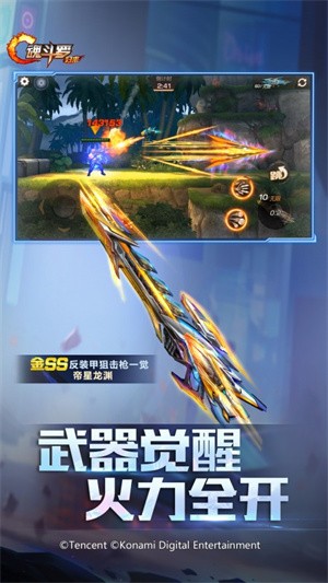 �궷�޹������������