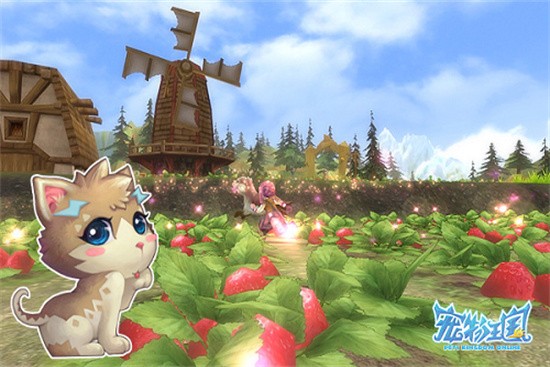 ������������������