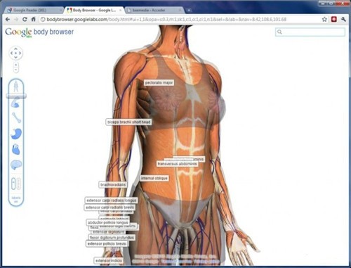 google������������İ�����