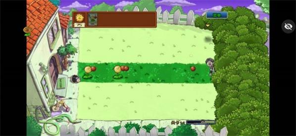 ֲ���ս��ʬikun��ս���Ӱ�