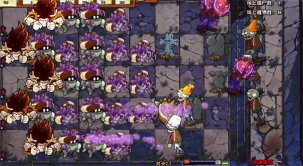 ֲ���ս��ʬ����ֲ���