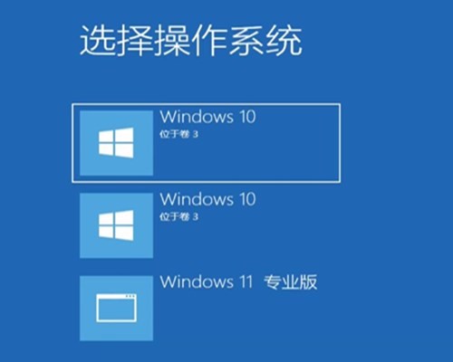 Win11רҵ溺İ