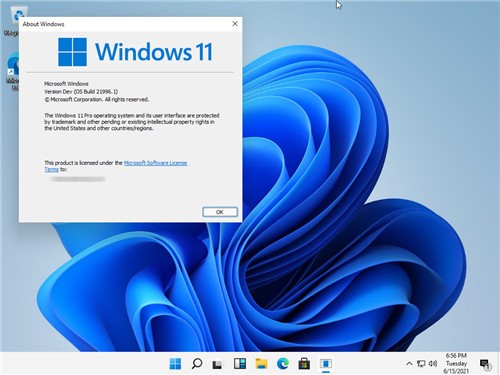 Windows11ͥİ