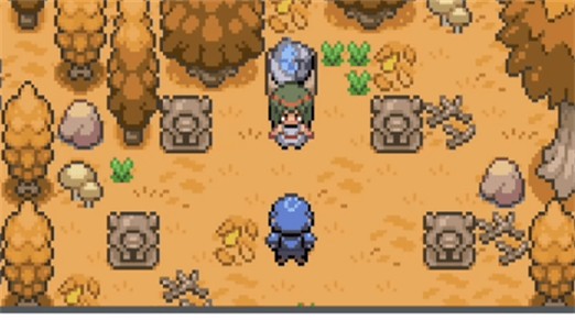 �ڴ����ֵǷ��켫���޾������ָ������