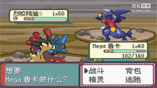 �ڴ����ֵ������ڹ��������