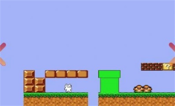 ����������̬è���İ�����