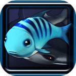 �����С��