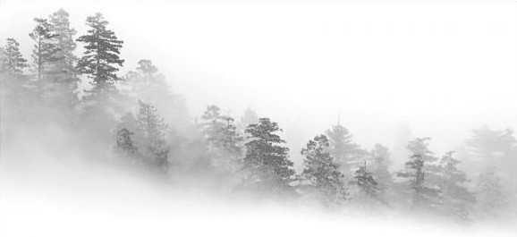 Photoshop笔刷免费下载