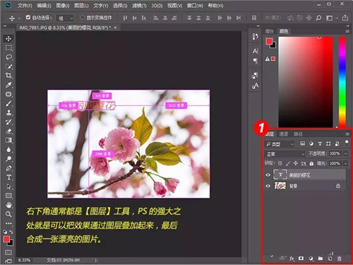 Adobe Photoshop绿色版软件下载