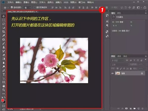 photoshop2024绿色版免费下载