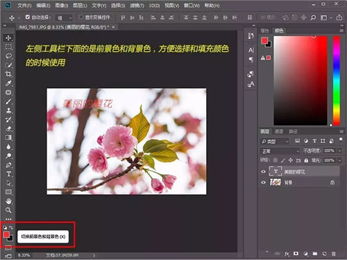 Photoshop2021绿色中文精简版