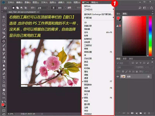 Adobe Photoshop绿色版软件下载