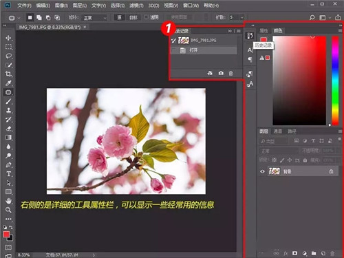 Adobe Photoshop绿色版免费下载