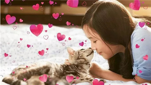 Adobe Photoshop 2024免费