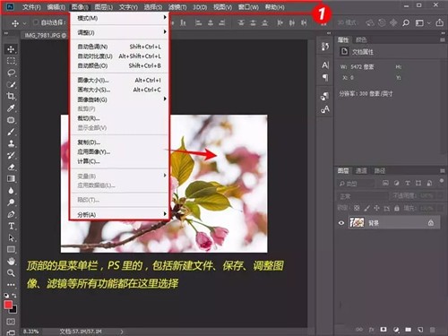 Adobe Photoshop绿色版免费下载