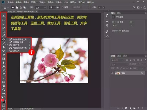 Adobe Photoshop绿色版下载